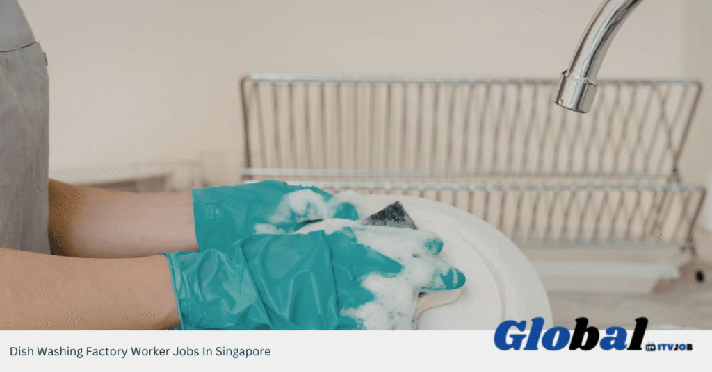 Dish Washing Factory Worker Jobs In Singapore