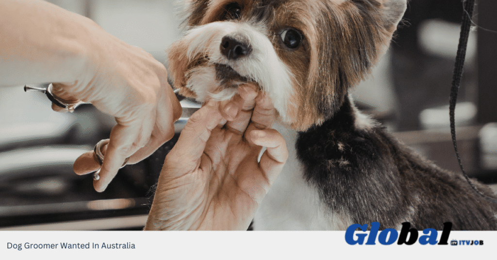 Dog Groomer Wanted In Australia