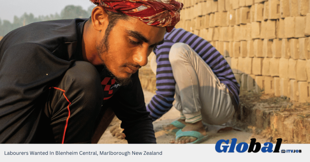 Labourers Wanted In Blenheim Central, Marlborough New Zealand