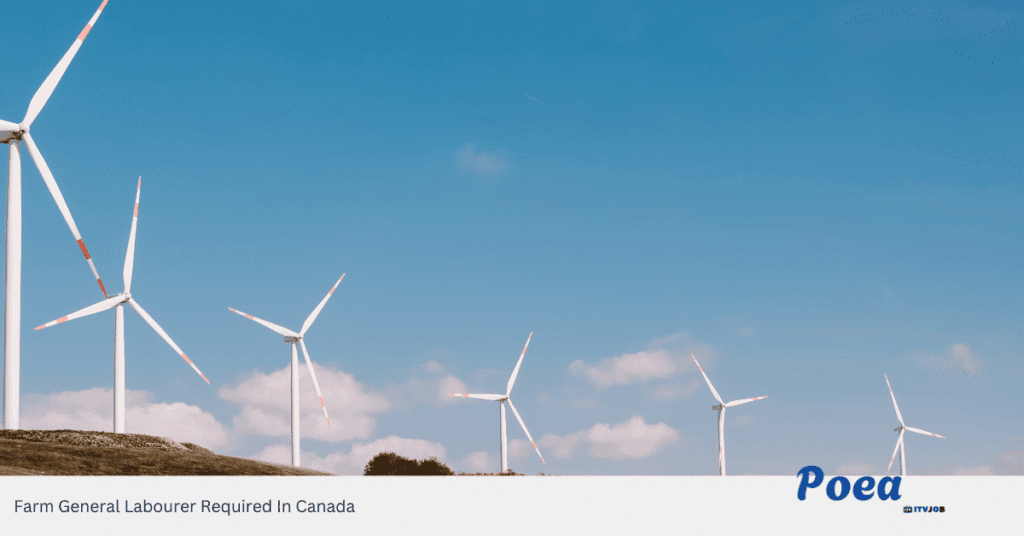 Farm General Labourer Required In Canada