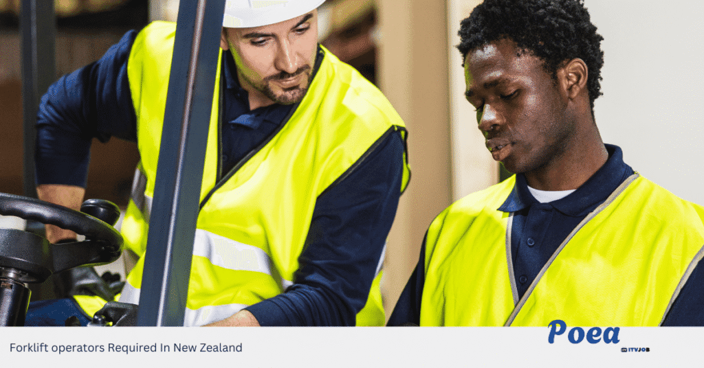 Forklift operators Required In New Zealand