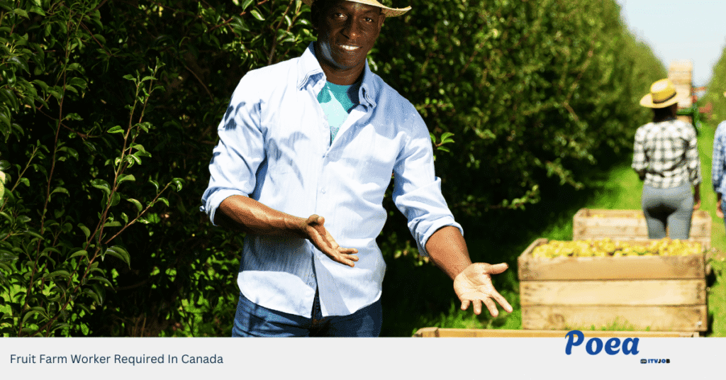 Fruit Farm Worker Required In Canada