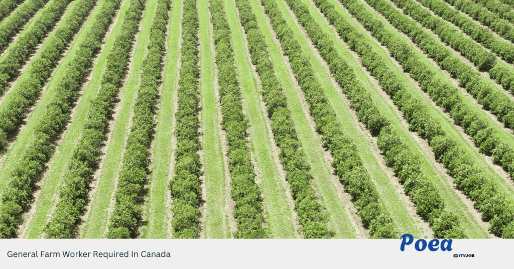 General Farm Worker Required In Canada