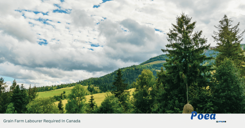 Grain Farm Labourer Required In Canada