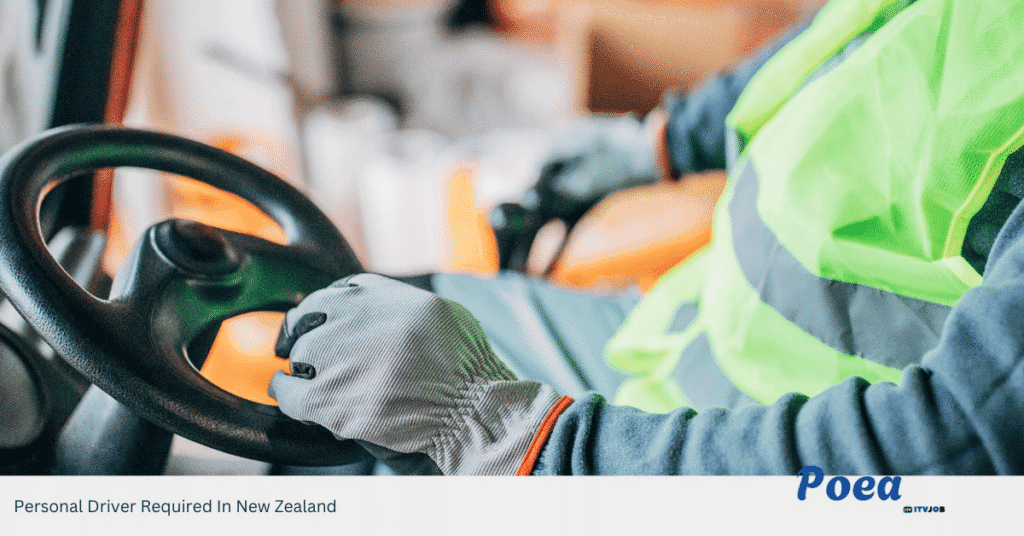 Personal Driver Required In New Zealand