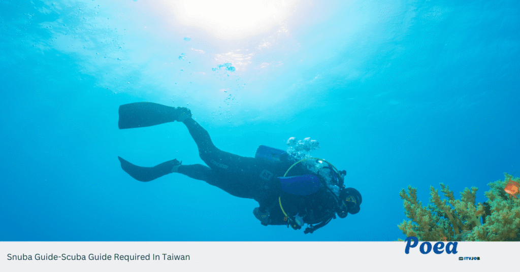 Snuba Guide-Scuba Guide Required In Taiwan