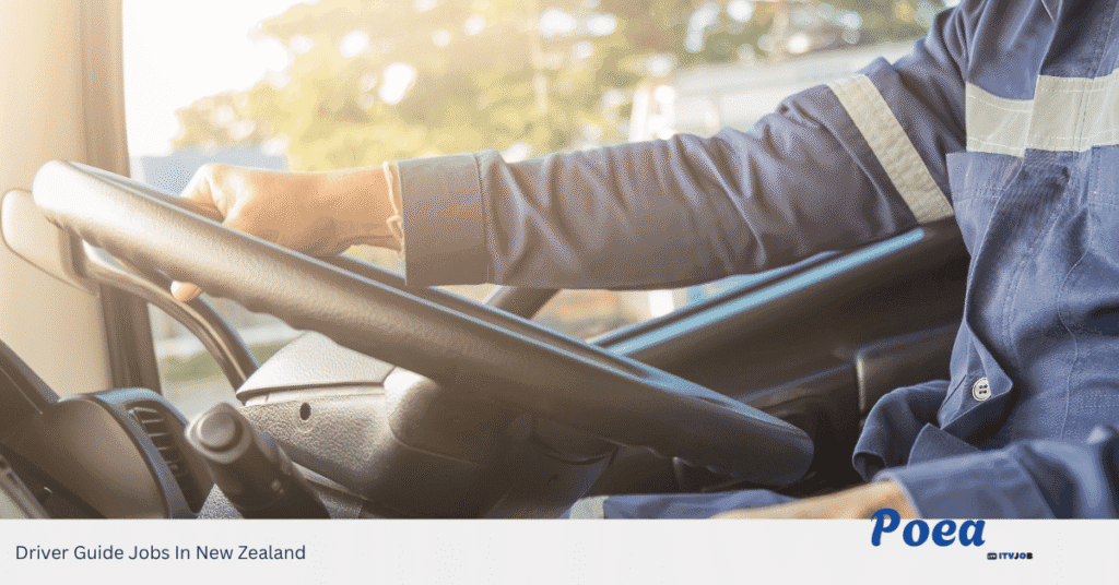 Driver Guide Jobs In New Zealand