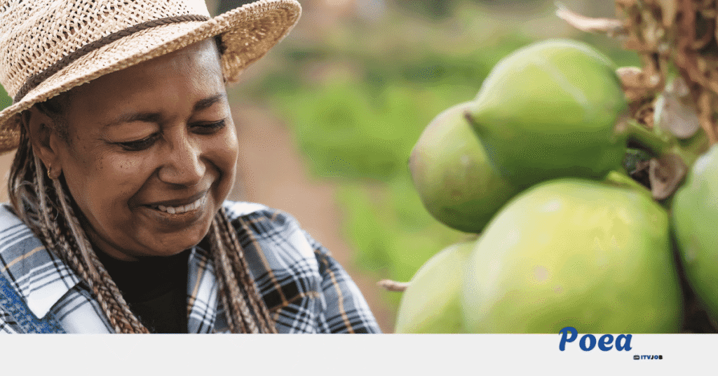 Fruit Pickers Needed in Hastings, New Zealand
